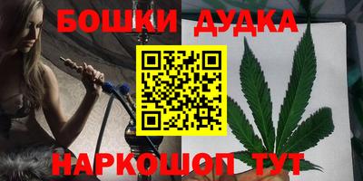 индика Ирбит