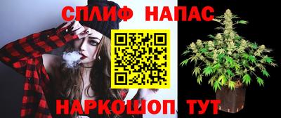 ПСИЛОЦИБИНОВЫЕ ГРИБЫ Изобильный
