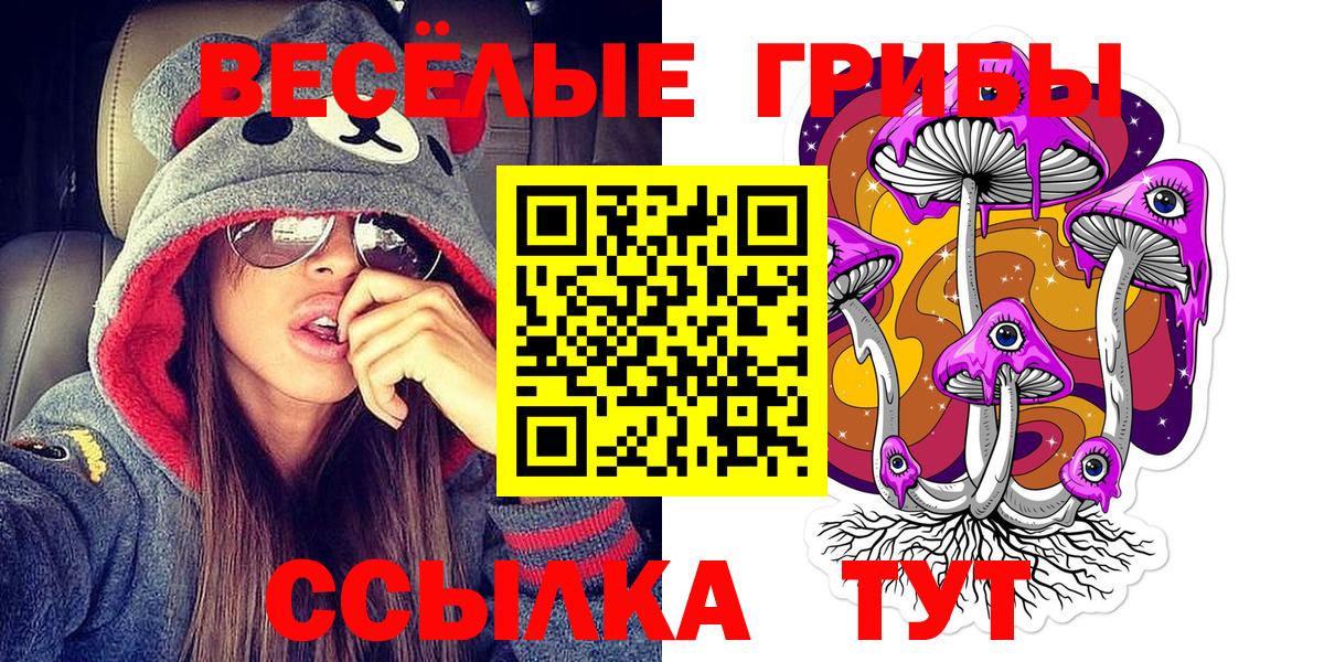 Галлюциногенные грибы GOLDEN TEACHER  Вход с VPN  Бирск  Галлюциногенные грибы прущие грибы 